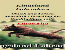 Tablet Screenshot of kingslandlabradors.com